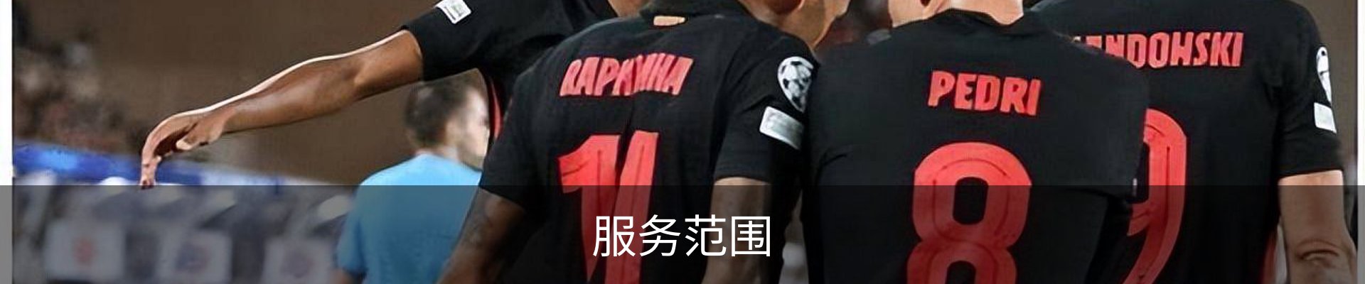 服务范围